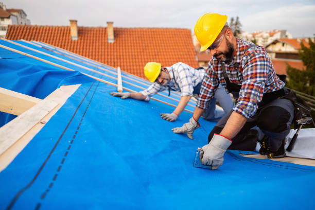 Best Flat Roof Repair Services  in Marfa, TX