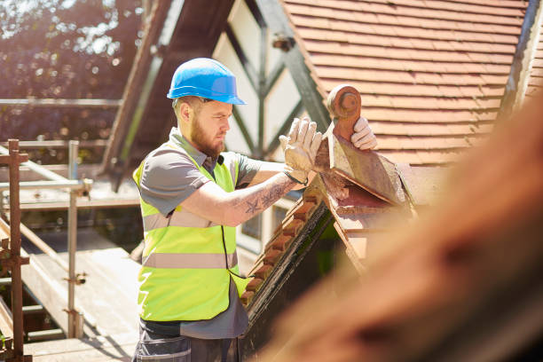 Best Roof Gutter Cleaning  in Marfa, TX